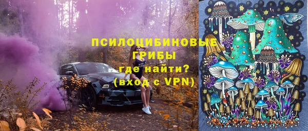 амф Абаза