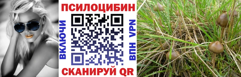 Псилоцибиновые грибы Psilocybe  ОМГ ОМГ   Струнино 